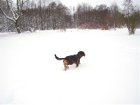 Thumbs/tn_2006_0311_080738 (Large).jpg